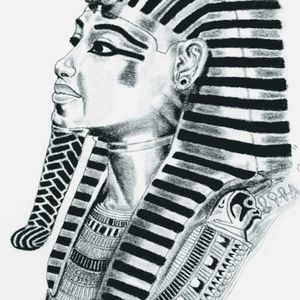 Meet your Posher, Darwin